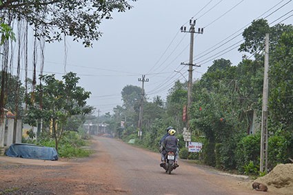 New rural scenes in Vinh Linh  - ảnh 1